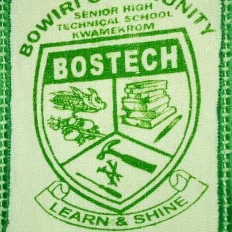 Voting Logo